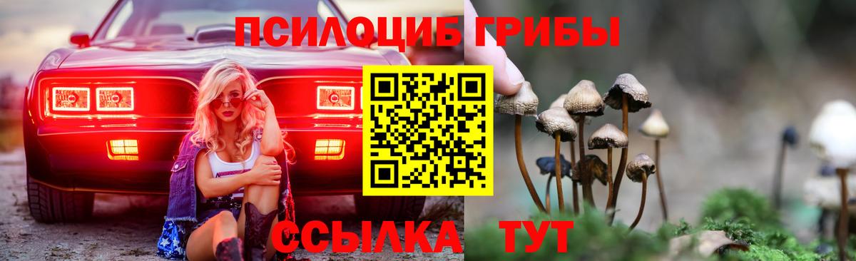 Псилоцибиновые грибы ЛСД  Вход с VPN  Нижнекамск 